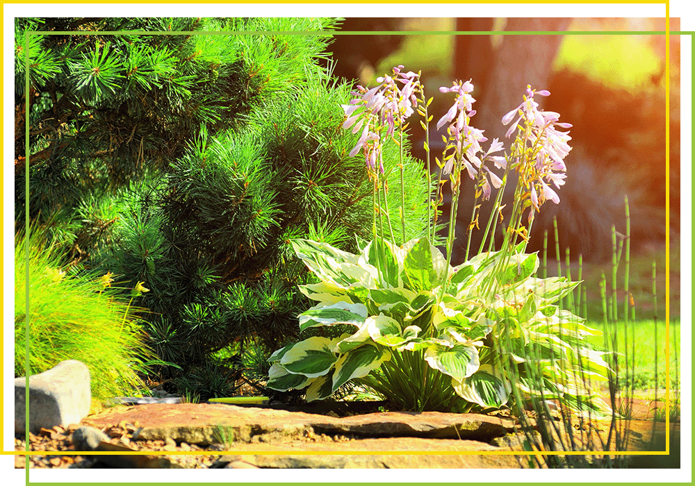 Best Landscapers Greensboro & the Triad 4th Generation Landscaping N